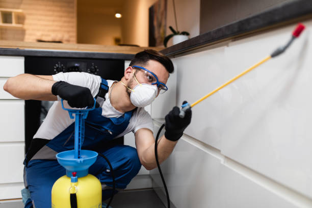 Best Pest Removal Services  in Thousand Palms, CA