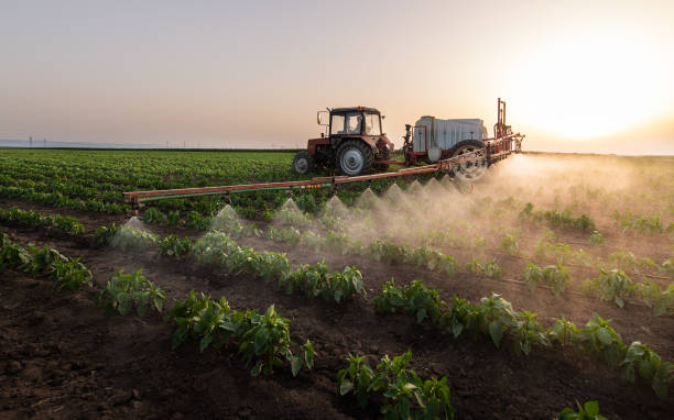 Best Mosquito Control Services  in Thousand Palms, CA