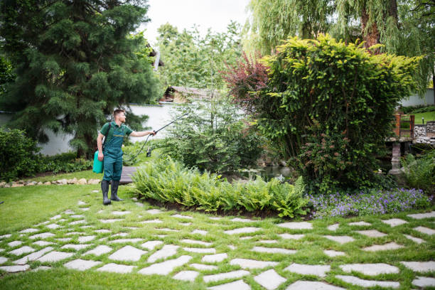 Pest Prevention Services in Thousand Palms, CA