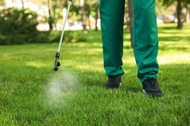 Thousand Palms, CA Pest Control Company